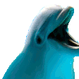happy dolphin Slack emoji