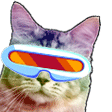 cat bop Slack emoji