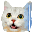 jedicat Slack emoji