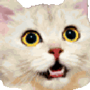 catglasses Slack emoji
