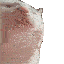 cat jam Slack emoji