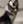 huskydog dance Slack emoji
