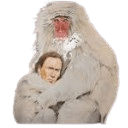 cage hugged by a monkey Slack emoji