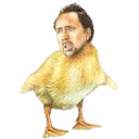 chick cage Slack emoji