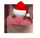 cat blusshxmas Slack emoji