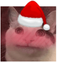 blush catsanta Slack emoji