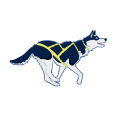 dog running Slack emoji