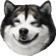 husky forever Slack emoji