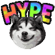 husky hype Slack emoji