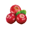 cranberries spin Slack emoji
