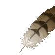 feather quill Slack emoji