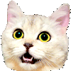 cat spin Slack emoji