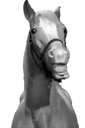 mister ed horse Slack emoji