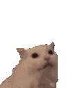 meow hearts Slack emoji