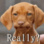 really Slack emoji