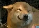 cute dog smile Slack emoji