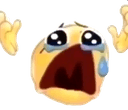 boohoo crying Slack emoji
