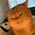 yapapa cat Slack emoji