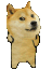 doge dance Slack emoji