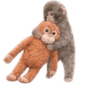 punch the macaque Slack emoji