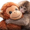 punch monkey Slack emoji