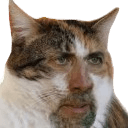cage cat Slack emoji
