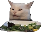 cat getting yelled at by woman Slack emoji