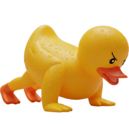 pushup duck Slack emoji