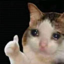 sad thumbs up cat Slack emoji
