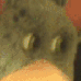 chuck e cheese eyes Slack emoji
