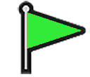 green flag Slack emoji