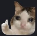 crythumbsup Slack emoji