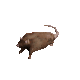 horizontally spinning rat Slack emoji