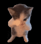 scuba cat Slack emoji