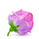 rose pink Slack emoji