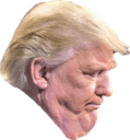 trump chin Slack emoji