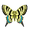 butterfly rainbow Slack emoji