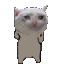 cat dance Slack emoji