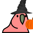 pumpkin parrot Slack emoji
