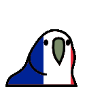 france parrot Slack emoji
