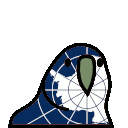 antarctica parrot Slack emoji