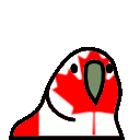canada parrot Slack emoji