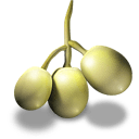 grapes Slack emoji