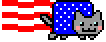 nyancat america Slack emoji