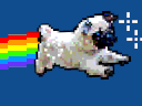 nyan pug Slack emoji