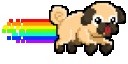 nyan pug Slack emoji