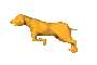 dog running Slack emoji