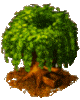 coin tree Slack emoji