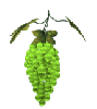 grapes Slack emoji