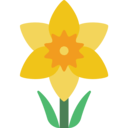 daffodil Slack emoji